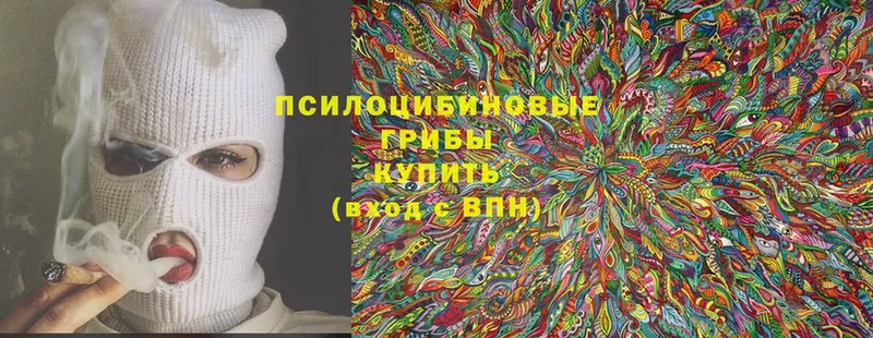 цены наркотик  Кириши  Псилоцибиновые грибы Magic Shrooms 